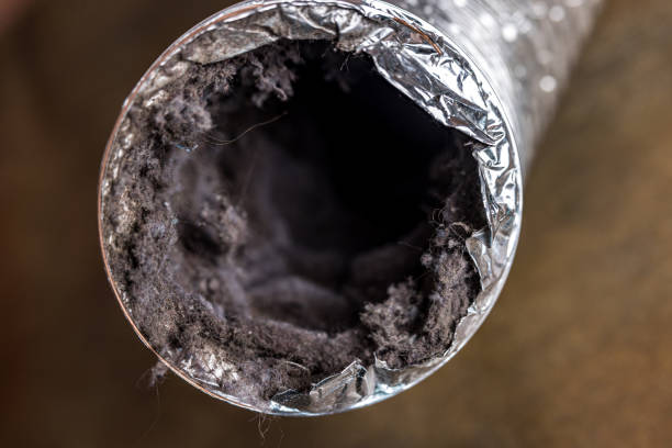 Best Commercial HVAC Duct Cleaning  in Gary, IN