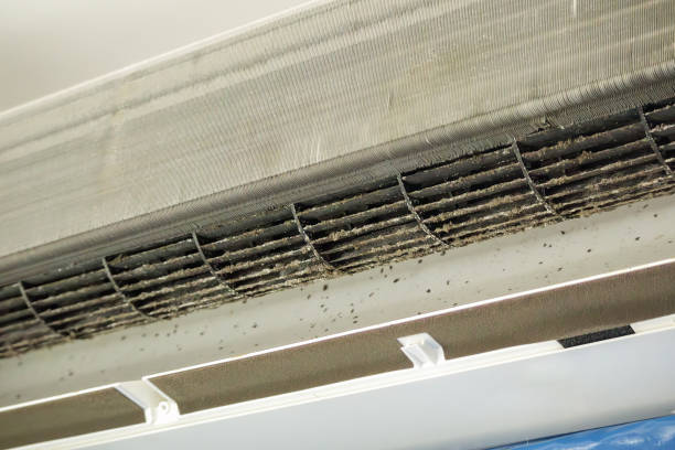 Best Air Duct Cleaning Near Me  in Gary, IN