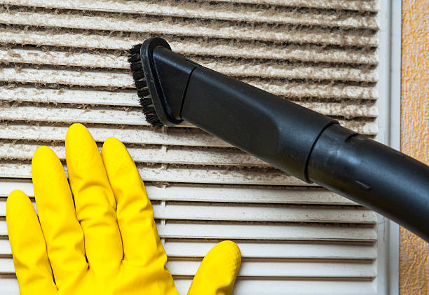 Best Affordable Air Duct Cleaning  in Gary, IN